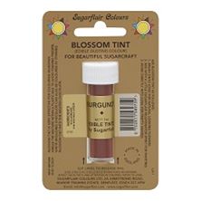 Picture of SUGARFLAIR EDIBLE BURGUNDY BLOSSOM TINT DUST 7ML